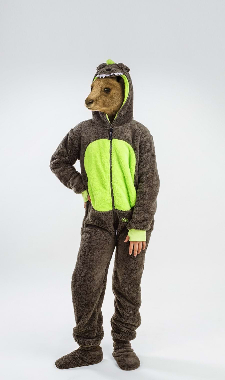 Dinosaur Teddy Kids Onesie